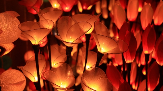 TAILANDIA Y LAOS - FESTIVAL DE LAS LUCES